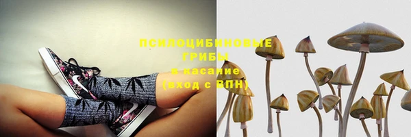 гидропоника Абдулино