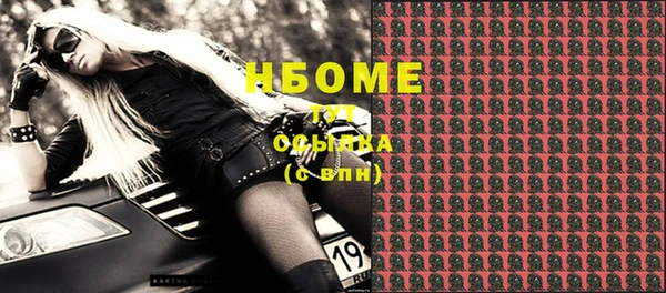 шишки Алзамай
