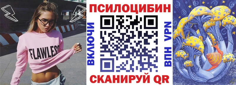 omg зеркало  наркошоп  Советская Гавань  Псилоцибиновые грибы прущие грибы 