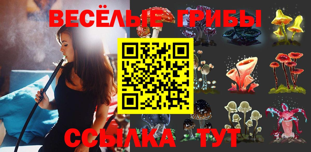 Советская Гавань  Псилоцибиновые грибы GOLDEN TEACHER  купить   Галлюциногенные грибы MAGIC MUSHROOMS  Вход с VPN 